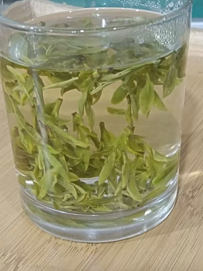 明前茶