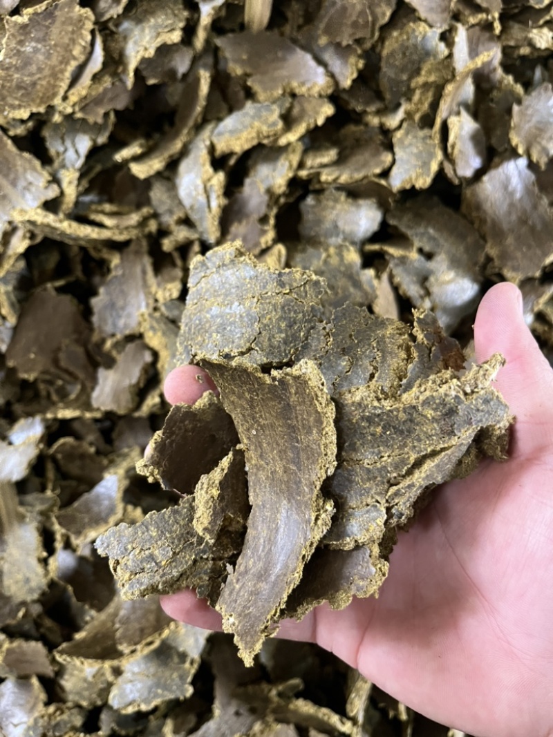 山东棉籽饼一手加工货源，量大价优，视频看货对接全国
