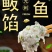 鲅鱼馅源头厂家批发