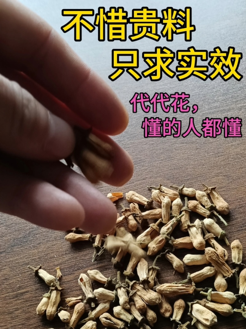 代代花上班解压茶养生茶节日条理茶决明子茶组合花茶批发