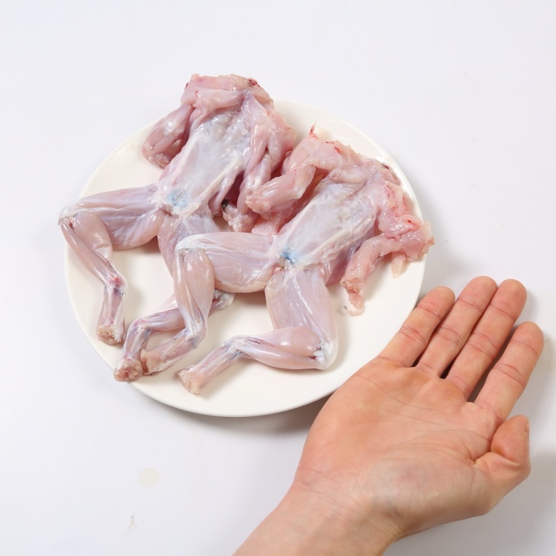 牛蛙活鲜新鲜现杀特大肉鲜冻半成品适合火锅烧烤商用批发