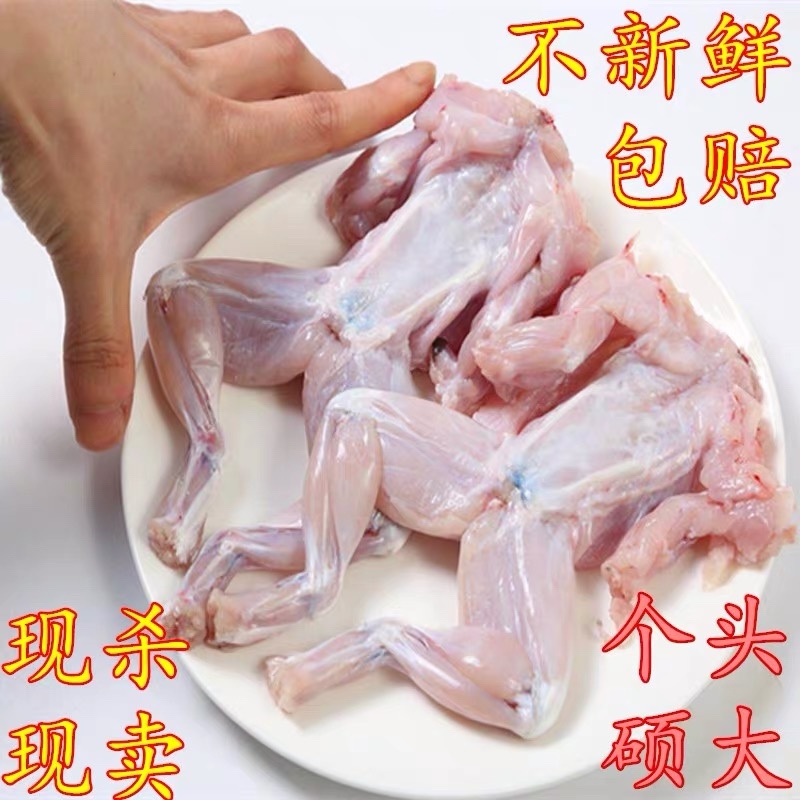 牛蛙活鲜新鲜现杀特大肉鲜冻半成品适合火锅烧烤商用批发