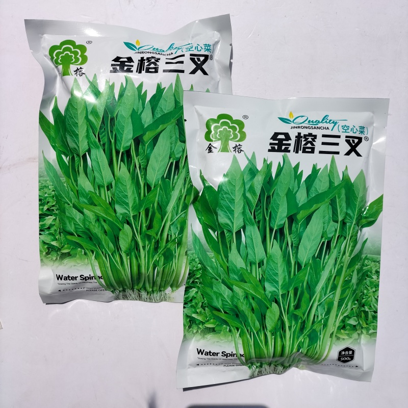 金榕三叉菜空心菜种子种籽苗四季菜苗带根种植菜种蔬菜菜籽