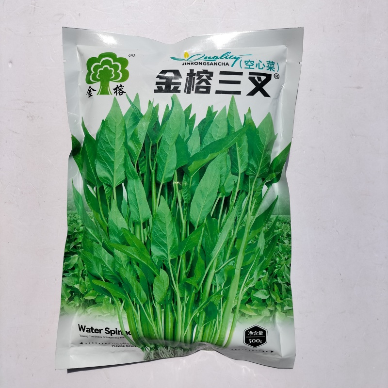 金榕三叉菜空心菜种子种籽苗四季菜苗带根种植菜种蔬菜菜籽