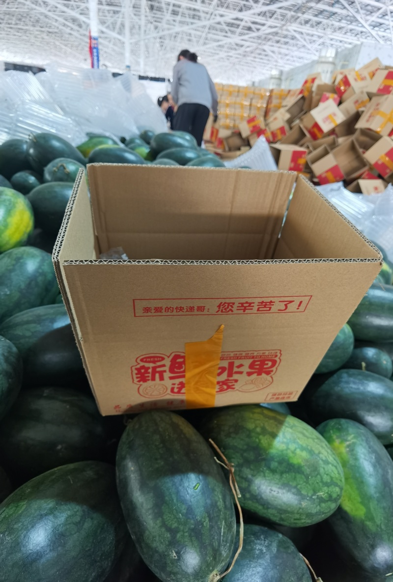 黑美人西瓜，新鲜摘采，支持电商一件代发，整车落地配。