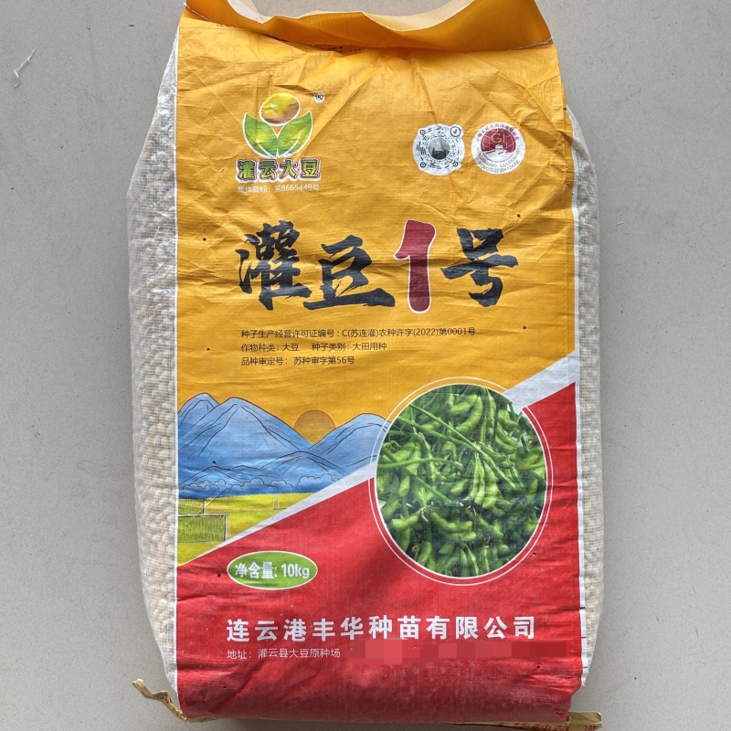 灌豆1号黄豆种子农家大豆种子中熟夏大豆宜机收黑脐黄豆大田