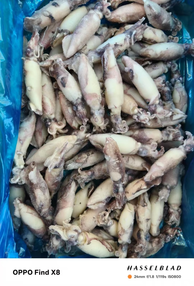 籽乌