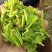 张家界莓茶--龙须茶预售_价格详谈