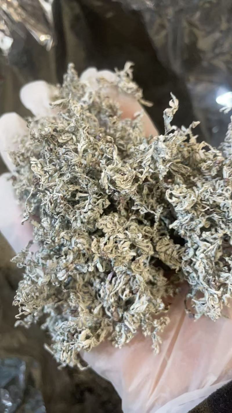 张家界莓茶--龙须茶预售_价格详谈
