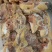 麻鸡鸡架
