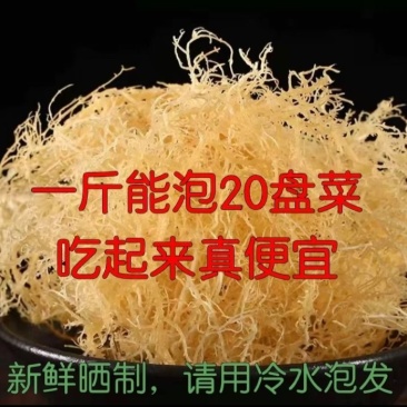 山东省滕州市批发凉拌菜,龙须菜,鹿角菜,精品普货规格齐全