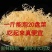 山东省滕州市批发凉拌菜,龙须菜,鹿角菜,精品普货规格齐全