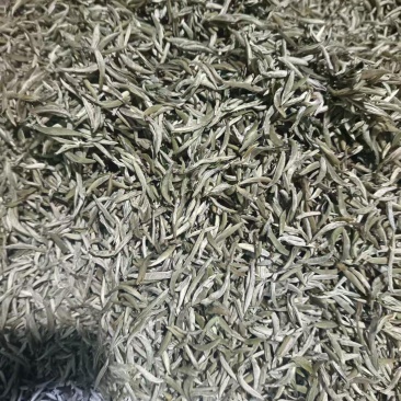 白茶包