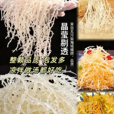龙须菜鹿角菜凉拌菜当季新货，厂家批发