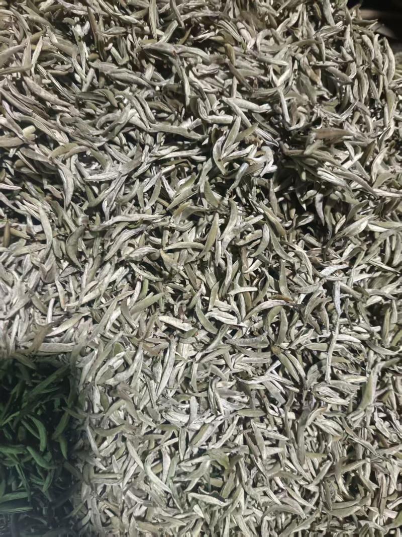 白茶包