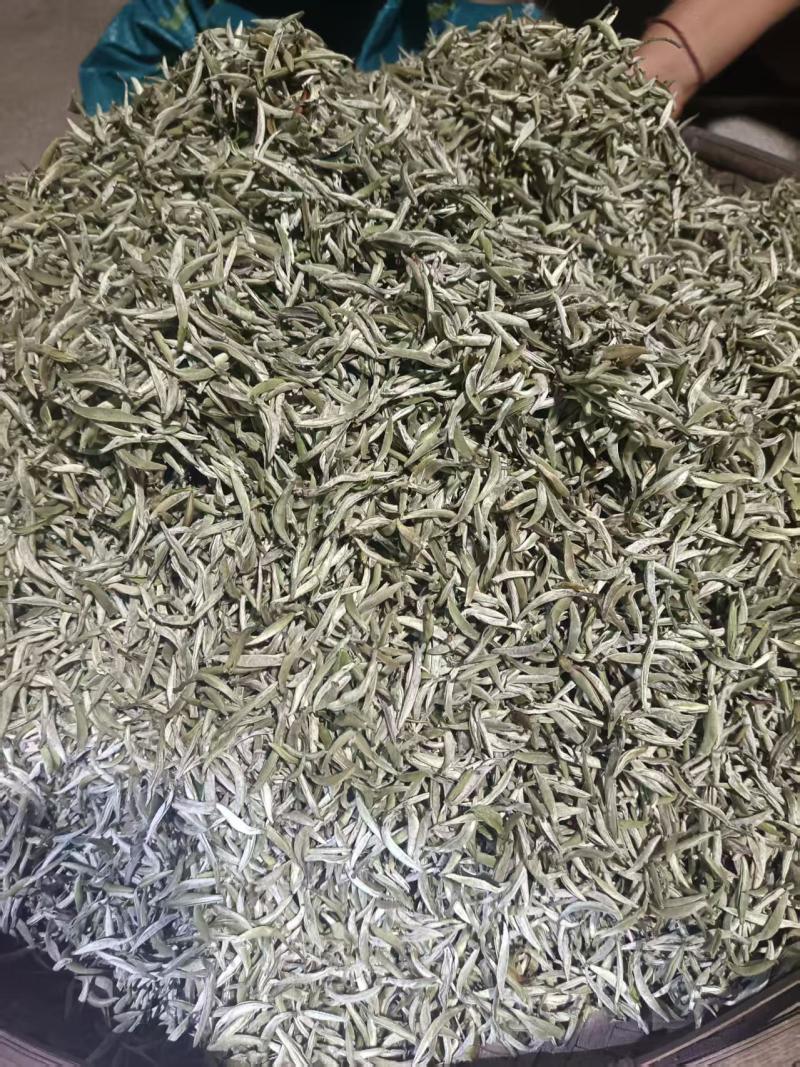 白茶包