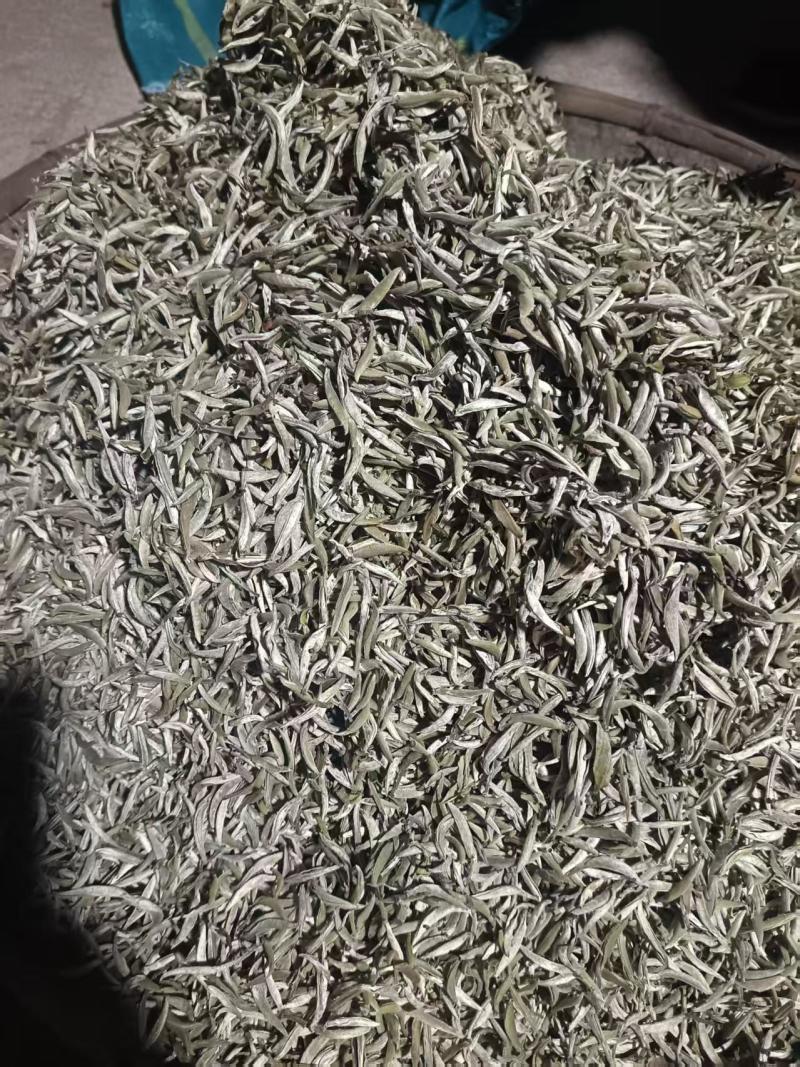白茶包