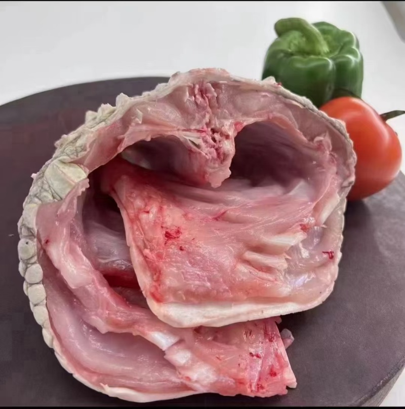 鳄鱼肉