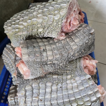鳄鱼肉