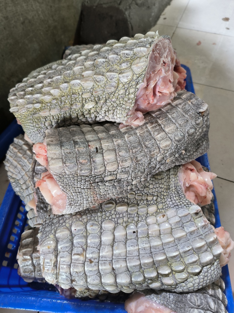鳄鱼肉
