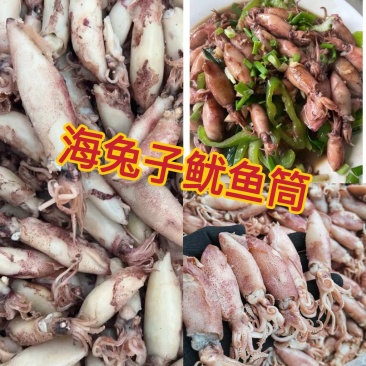 海兔电商地摊展会批发