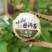 布朗宫廷小青柑