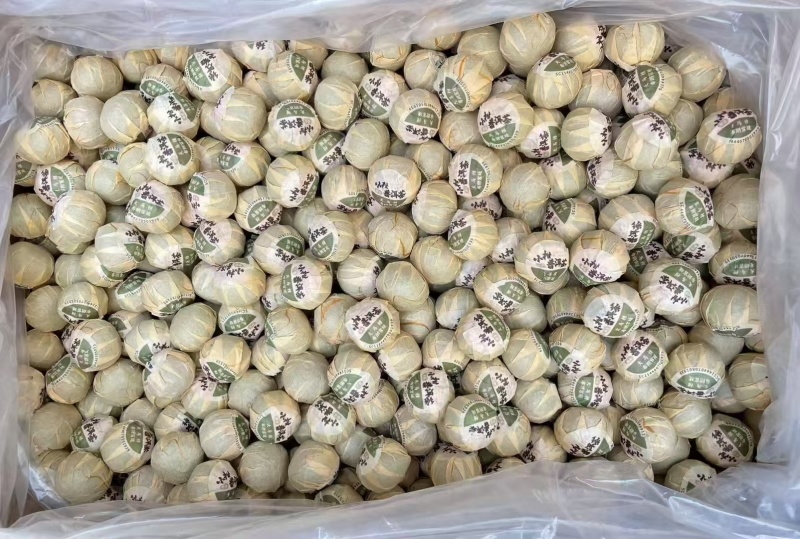 布朗宫廷小青柑