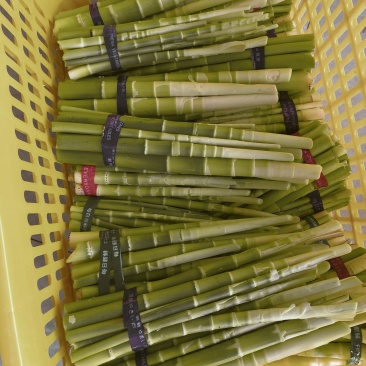 贺州永州小竹笋甜竹笋山竹笋出售批发价格更优惠欢迎咨询