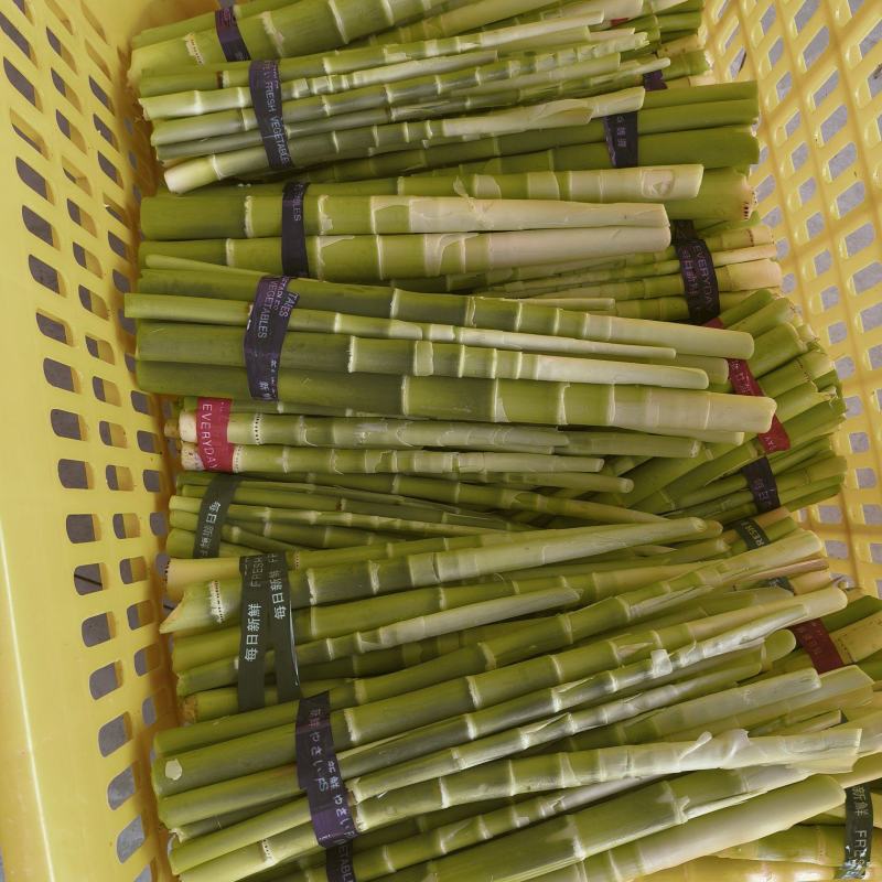 贺州永州小竹笋甜竹笋山竹笋出售批发价格更优惠欢迎咨询