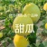 代办代发甜瓜羊角蜜博洋九绿宝星甜二十金冠绿美人等等