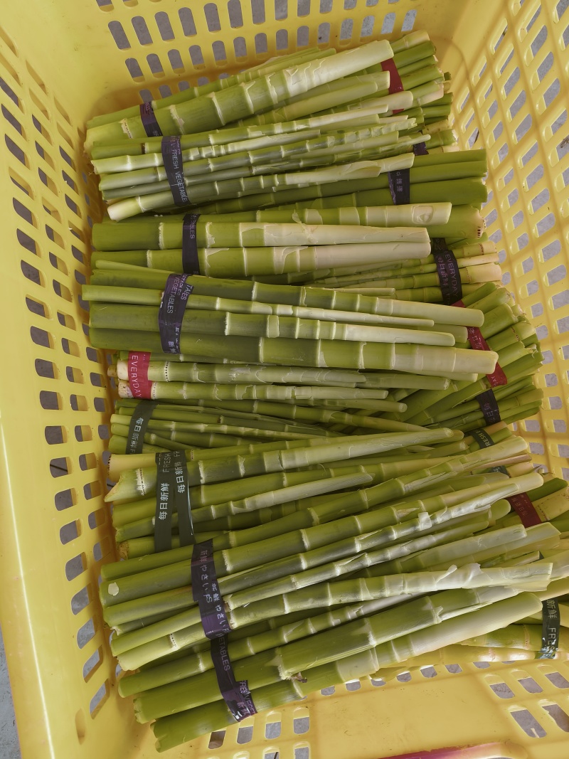 贺州永州小竹笋甜竹笋山竹笋出售批发价格更优惠欢迎咨询