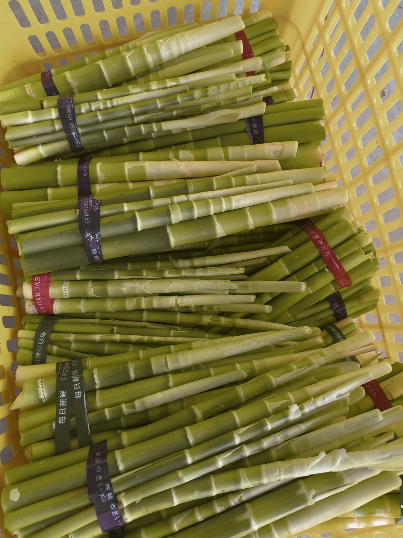 贺州永州小竹笋甜竹笋山竹笋出售批发价格更优惠欢迎咨询