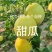 代办代发甜瓜羊角蜜博洋九绿宝星甜二十金冠绿美人等等