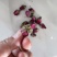 平阴玫瑰花茶平阴玫瑰干花蕾茶袋装500克