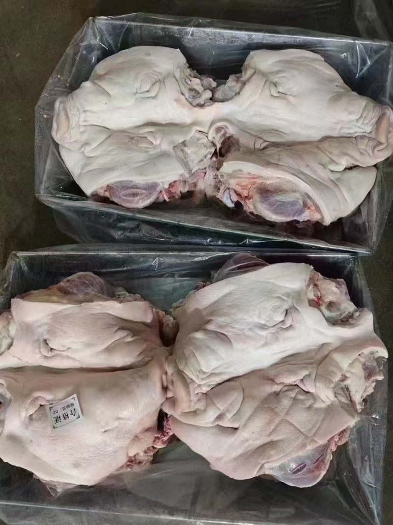 4.5品质猪头肉一手货源保质保量随时有货
