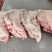 4.5品质猪头肉一手货源保质保量随时有货