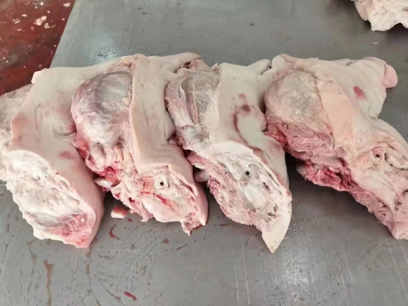 4.5品质猪头肉一手货源保质保量随时有货