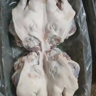 4.5品质猪头肉一手货源保质保量随时有货