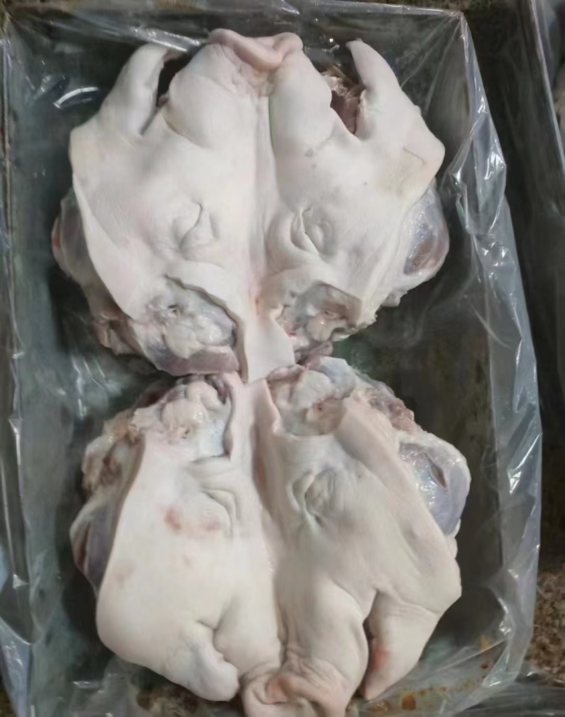 4.5品质猪头肉一手货源保质保量随时有货
