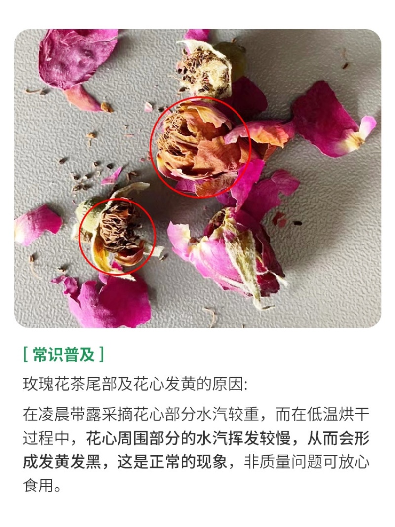 平阴玫瑰花茶平阴玫瑰干花蕾茶袋装500克