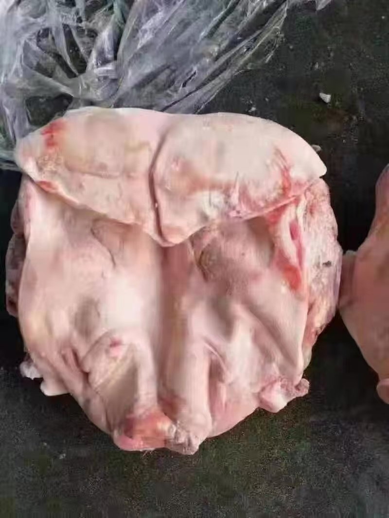 4.5品质猪头肉一手货源保质保量随时有货