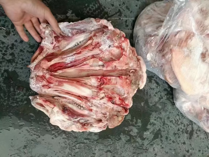 4.5品质猪头肉一手货源保质保量随时有货