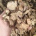 《苍术》内蒙苍术朱砂点多正品干货苍术片