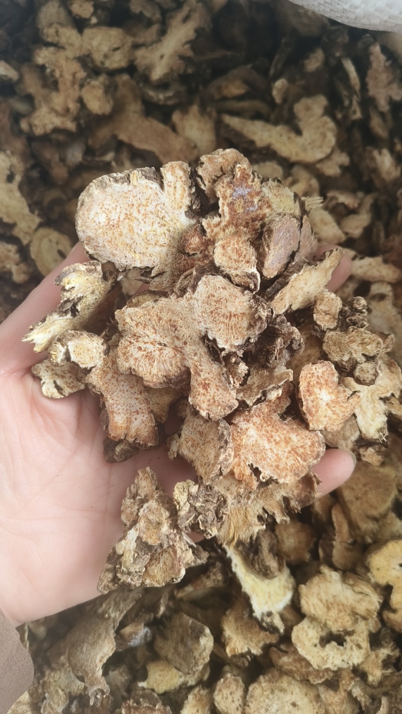 《苍术》内蒙苍术朱砂点多正品干货苍术片