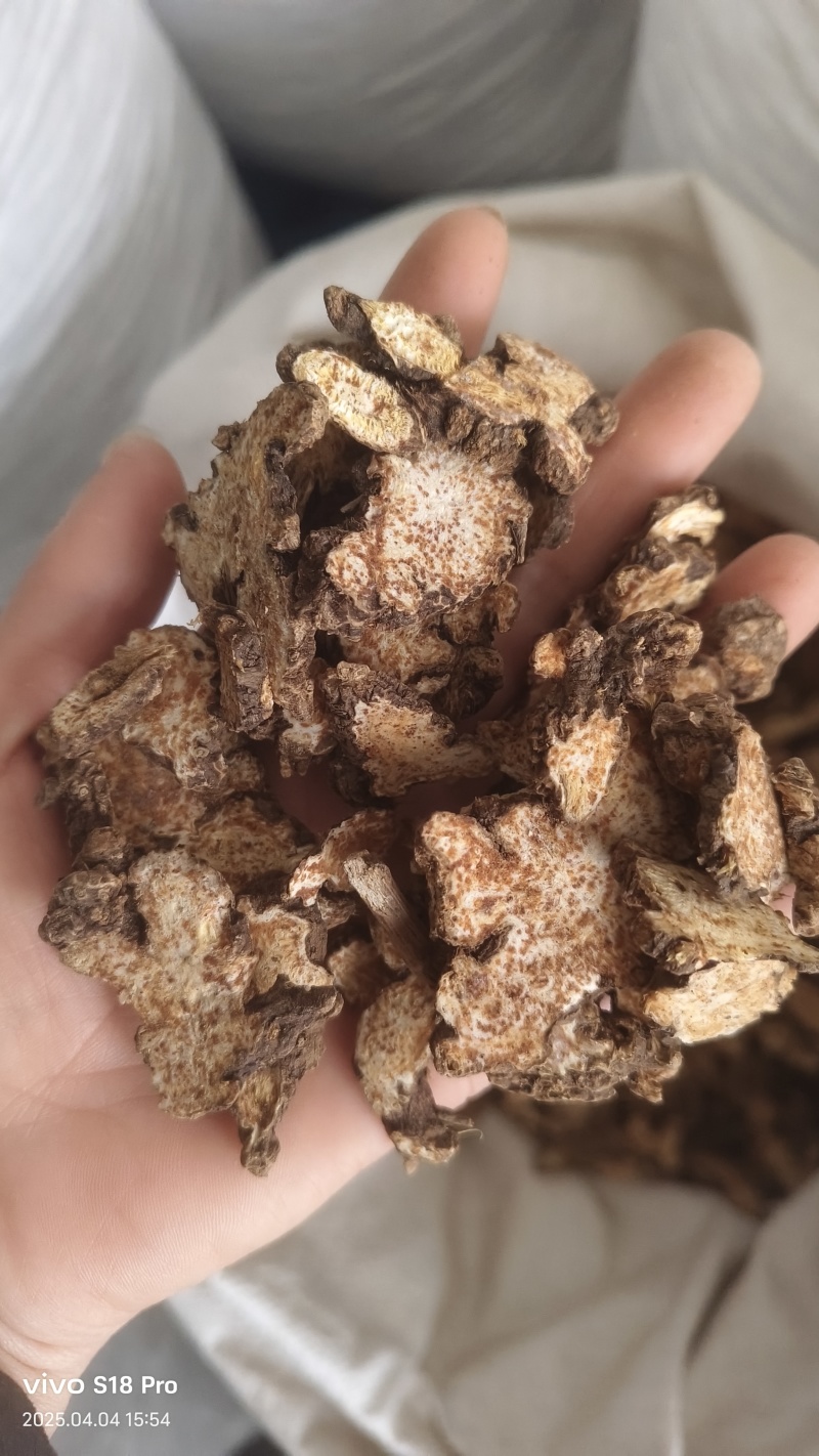 《苍术》内蒙苍术朱砂点多正品干货苍术片