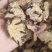 《苍术》内蒙苍术朱砂点多正品干货苍术片