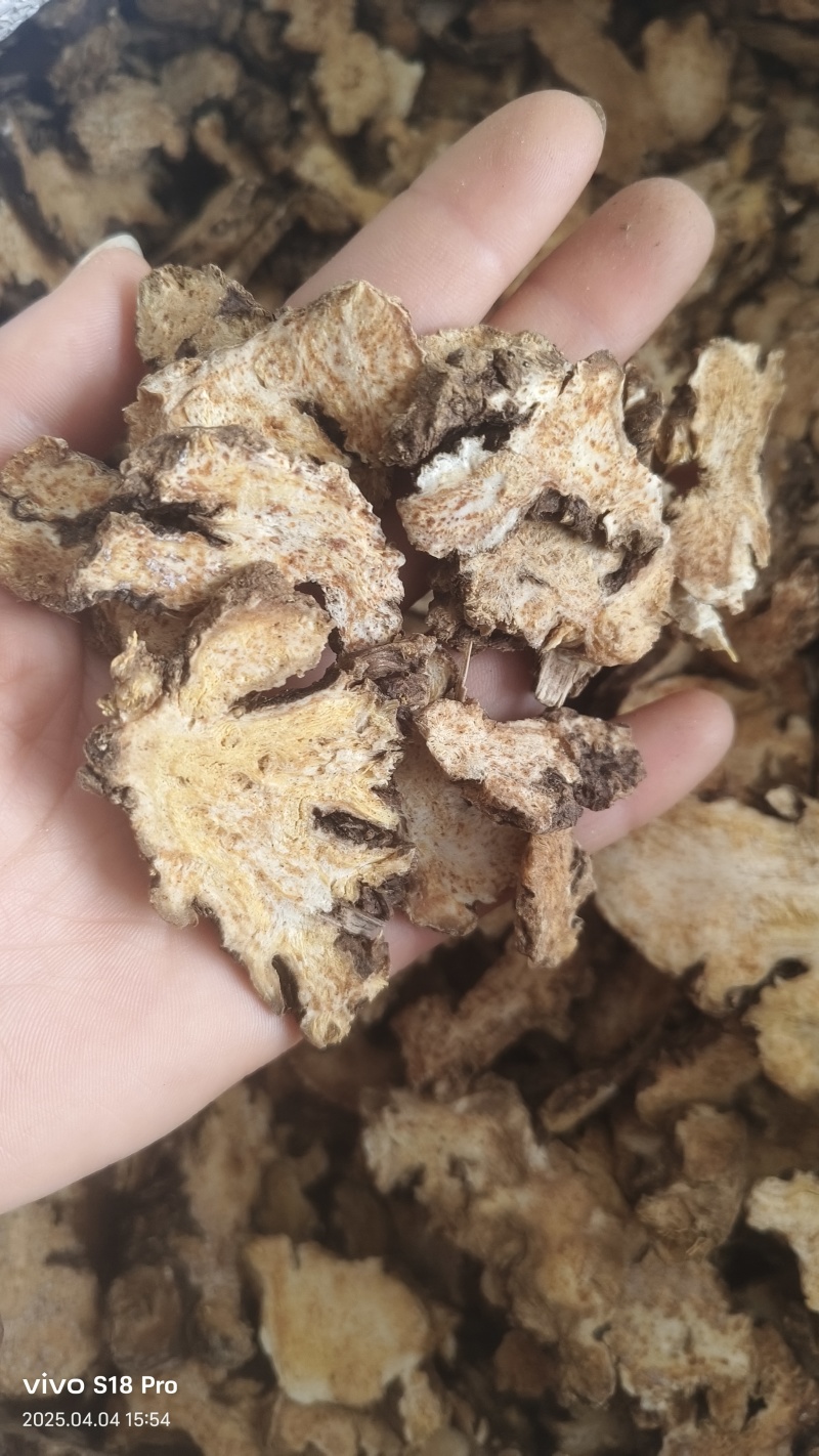 《苍术》内蒙苍术朱砂点多正品干货苍术片