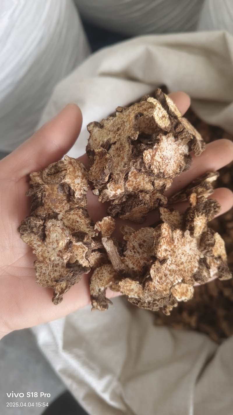 《苍术》内蒙苍术朱砂点多正品干货苍术片