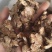 《苍术》内蒙苍术朱砂点多正品干货苍术片