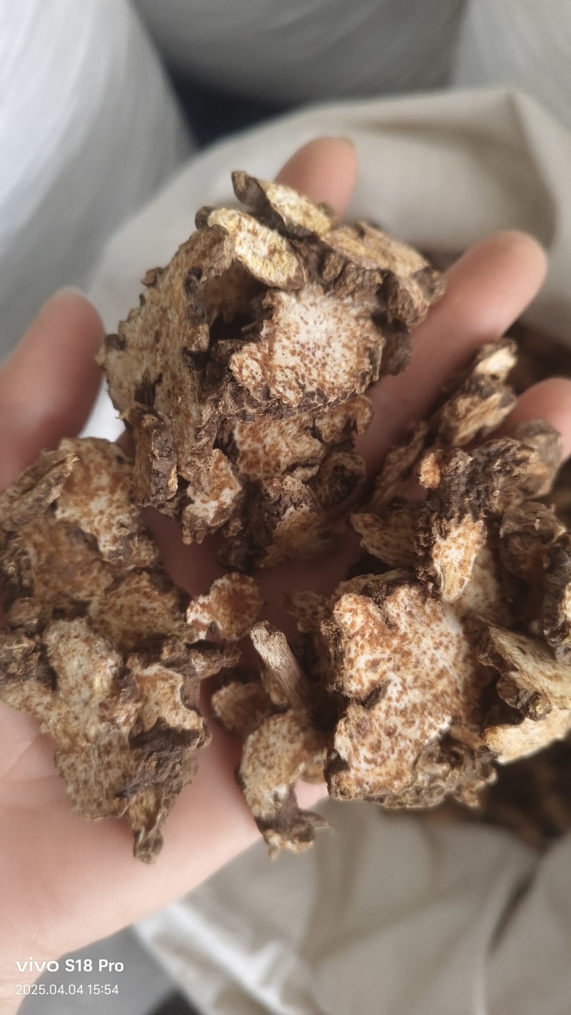 《苍术》内蒙苍术朱砂点多正品干货苍术片
